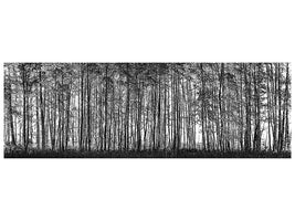 panoramic-canvas-print-pointillism-nature