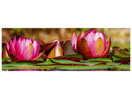 panoramic-canvas-print-red-water-lily-trio