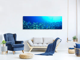 panoramic-canvas-print-shoal-of-fish
