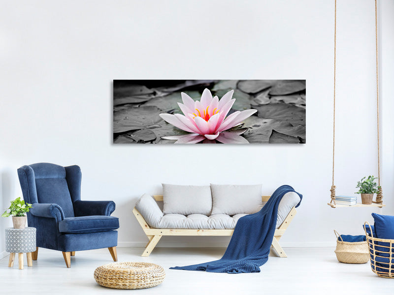 panoramic-canvas-print-the-art-of-water-lily