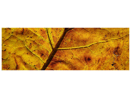 panoramic-canvas-print-the-autumn-leaf