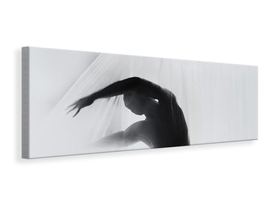 panoramic-canvas-print-the-dance-of-silence