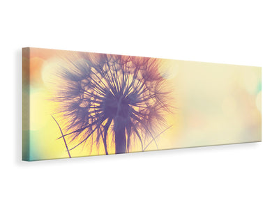 panoramic-canvas-print-the-dandelion-in-the-light