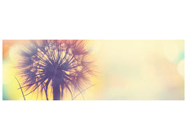 panoramic-canvas-print-the-dandelion-in-the-light