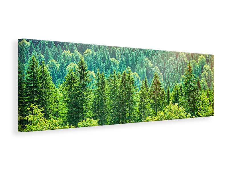 panoramic-canvas-print-the-forest-hill