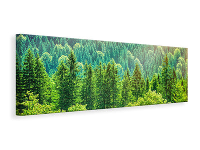 panoramic-canvas-print-the-forest-hill
