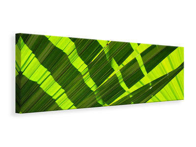 panoramic-canvas-print-the-palm-leaf-in-xl