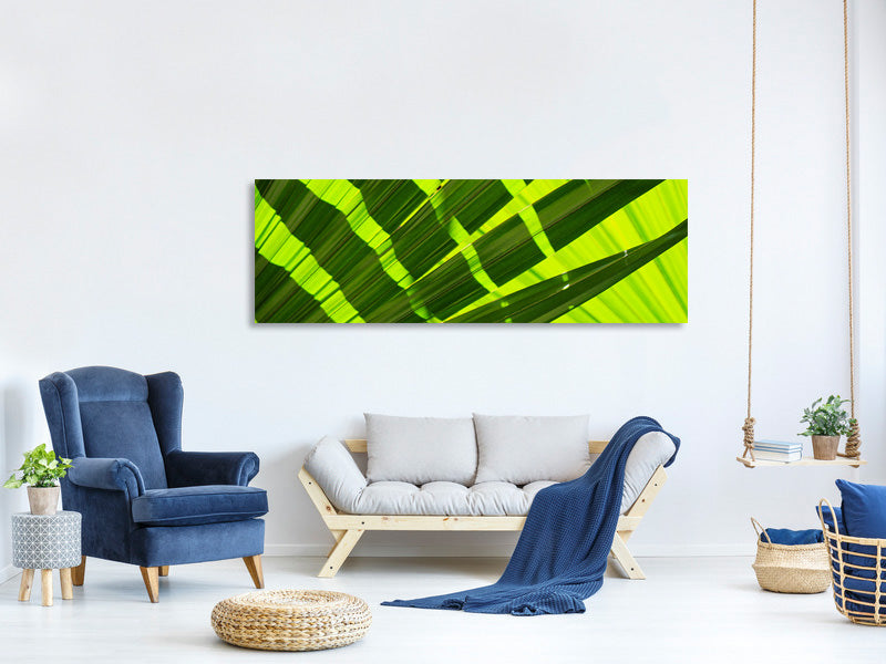 panoramic-canvas-print-the-palm-leaf-in-xl