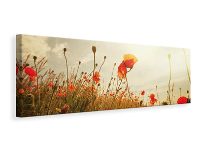 panoramic-canvas-print-the-poppy-field-at-sunrise