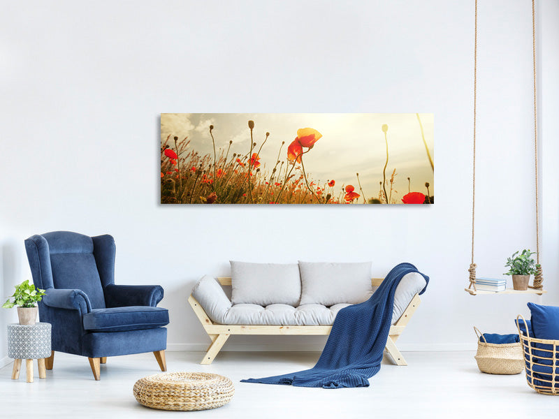 panoramic-canvas-print-the-poppy-field-at-sunrise