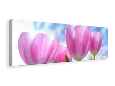 panoramic-canvas-print-tulips-in-nature