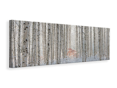 panoramic-canvas-print-white