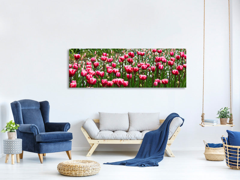 panoramic-canvas-print-wild-tulip-field